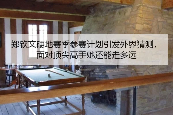 zheng-qin-wen-ying-di-sai-ji-can-sai-ji-hua-yin-fa-wai-jie-cai-ce-mian-dui-ding-jian-gao-shou-ta-hai-neng-zou-duo-yuan-2-138.jpg